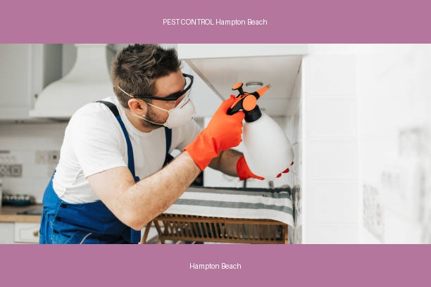 PEST CONTROL Hampton Beach
